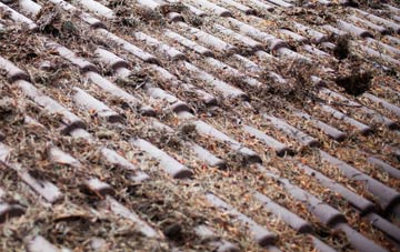 Inverarnan roof cleaning companies